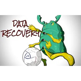 シサクワガタイラスト10