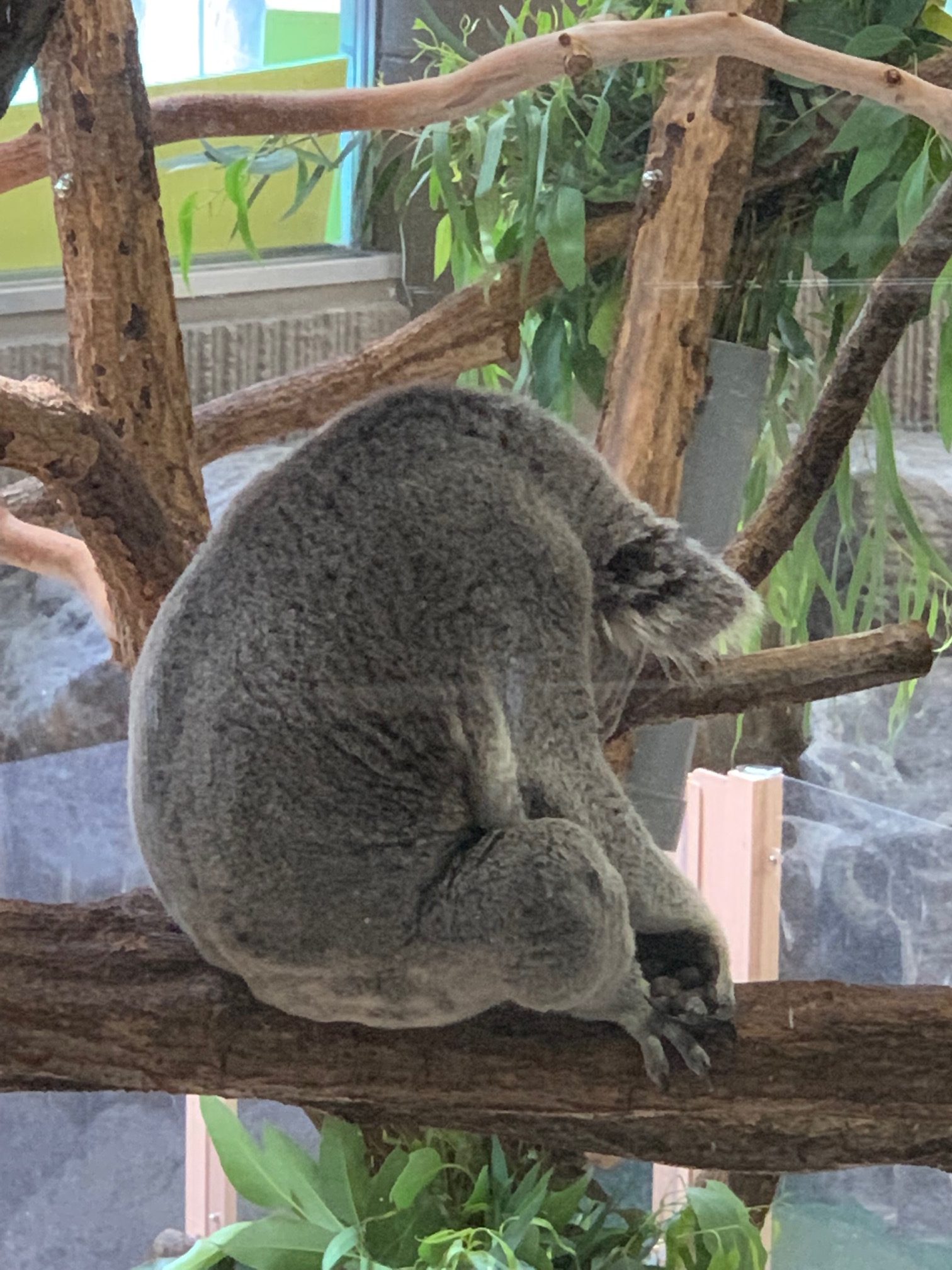 動物園で気づいたこと