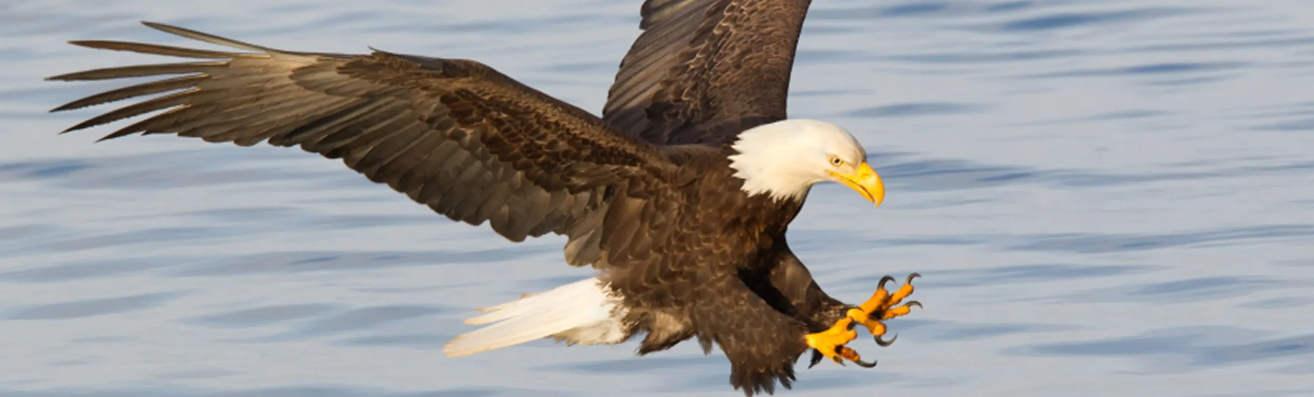 特急対応のイメージ画像